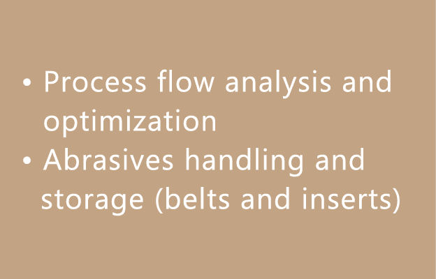 • Process flow analysis and optimization • Abrasives handling and storage (belts and inserts)