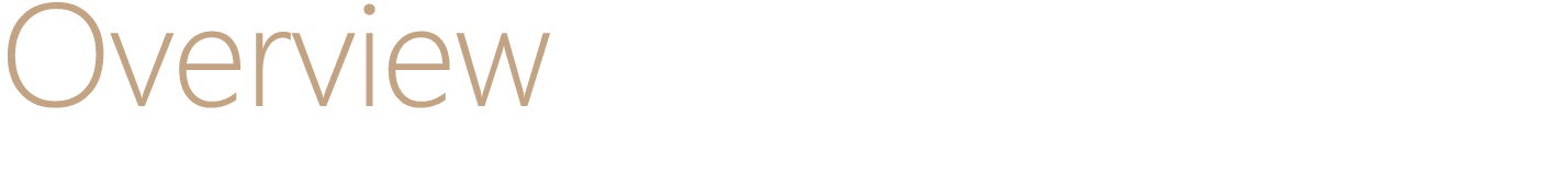 Overview